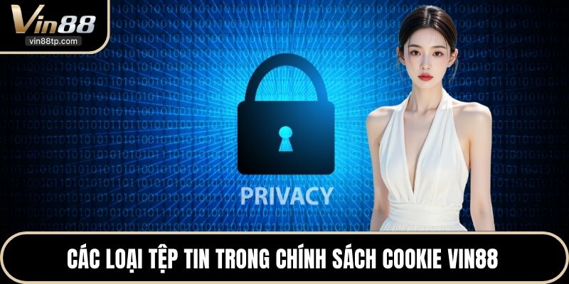 Các loại tệp tin trong chính sách Cookie Vin88 