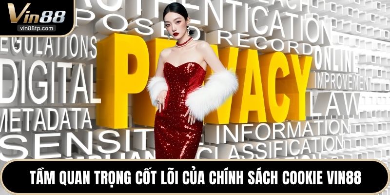 Tầm quan trọng cốt lõi của chính sách Cookie Vin88
